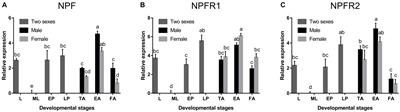 Cloning and Expression of the Neuropeptide F and Neuropeptide F Receptor Genes and Their Regulation of Food Intake in the Chinese White Pine Beetle Dendroctonus armandi